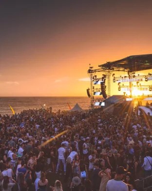 Day Trip Festival