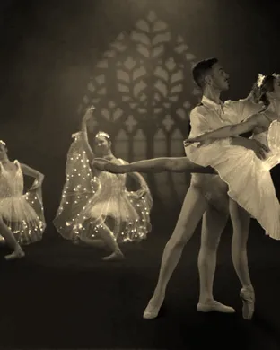 Ballet of Lights: Sleeping Beauty in a Sparkling Show theatre performance