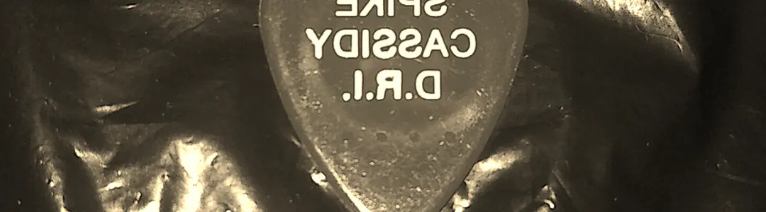 D.R.I. (Dirty Rotten Imbeciles)