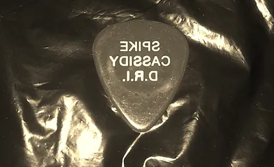 D.R.I. (Dirty Rotten Imbeciles)