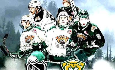 Everett Silvertips