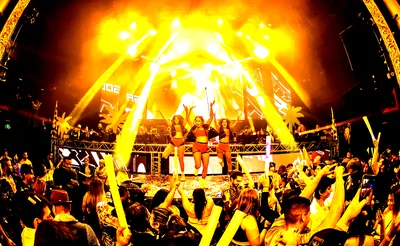 Gasolina Reggaeton Party