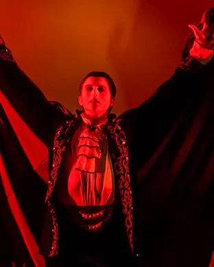 International Ballet Stars: Swan Lake