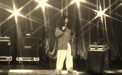 Reggie Watts