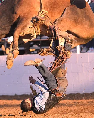 Rodeo