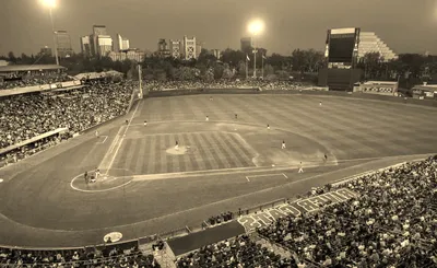 Sacramento River Cats