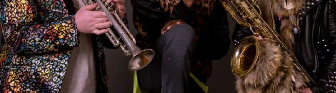 Too Many Zooz