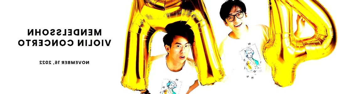 TwoSet Violin