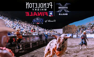 Xtreme Bulls