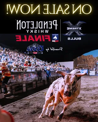 Xtreme Bulls