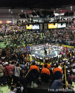 EQC Professional Boxing