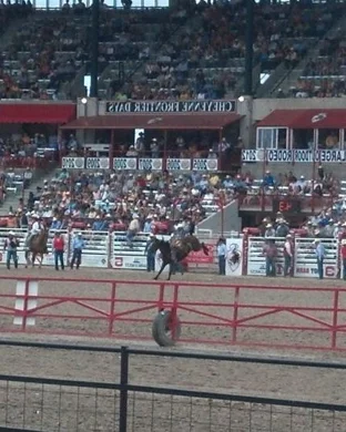 Saturday Races