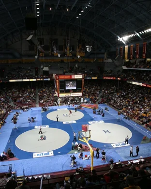 WNBF Natural Columbia Classic Pro/AM