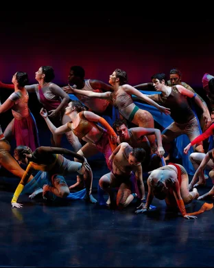 Studio West Dance Theatre: The Nutcracker